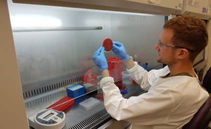 The University of Queensland’s Dr Stephan Brouwer is helping reveal why scarlet fever is making a comeback.